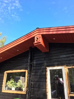 Röd nock